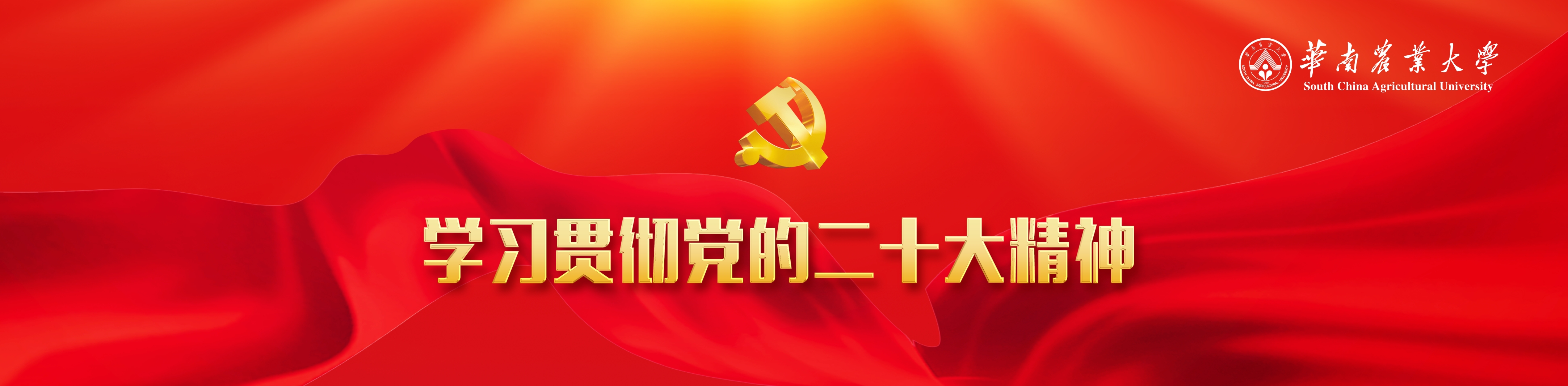 学习贯彻党的二十大精神